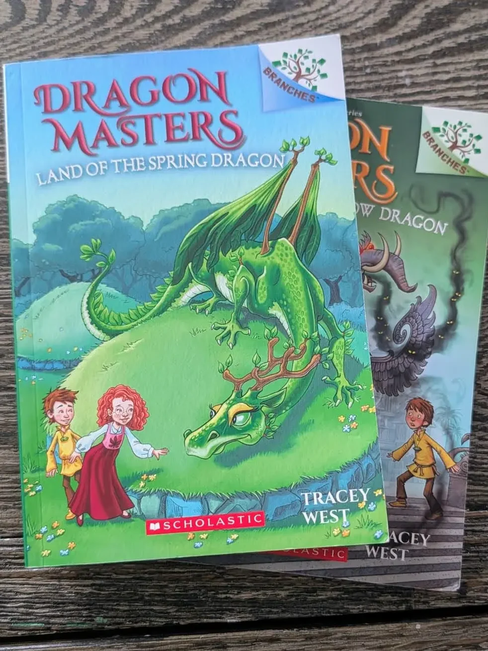 chapter books for kids - dragon master series books14and15