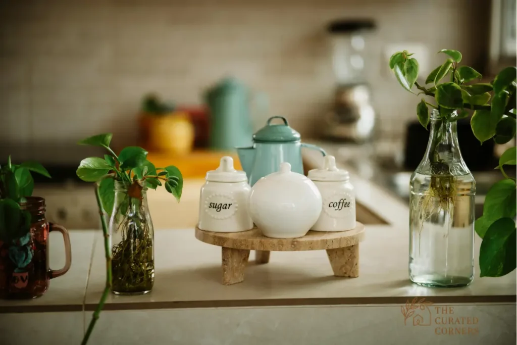 A tranquil, close-up shot of a kitchen counter featuring a small wooden pedestal holding white ceramic jars labeled "sugar" and "coffee" alongside a mint-green teapot. Lush green plants are being propagated in clear glass bottles and jars, their roots visible through the water. The background is softly blurred, showing a warm, sunlit kitchen space that evokes a sense of peacefulness and intentional living.